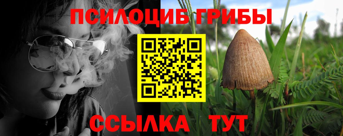 наркота  Вход с VPN  Москва  Галлюциногенные грибы Psilocybine cubensis 